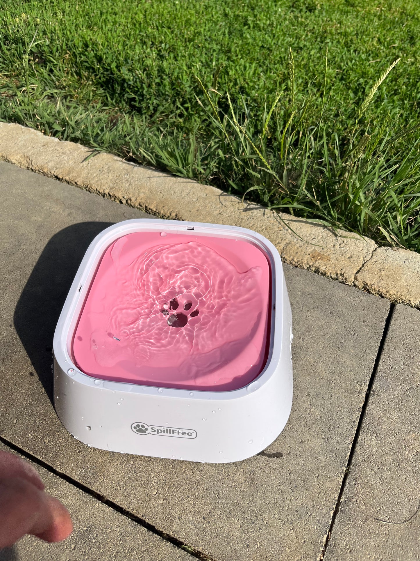 SpillFree Dog Bowl // SpillFree posuda za vodu
